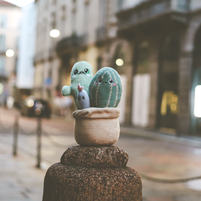 Mr. Cactus & Family Plush – Axol and Friends