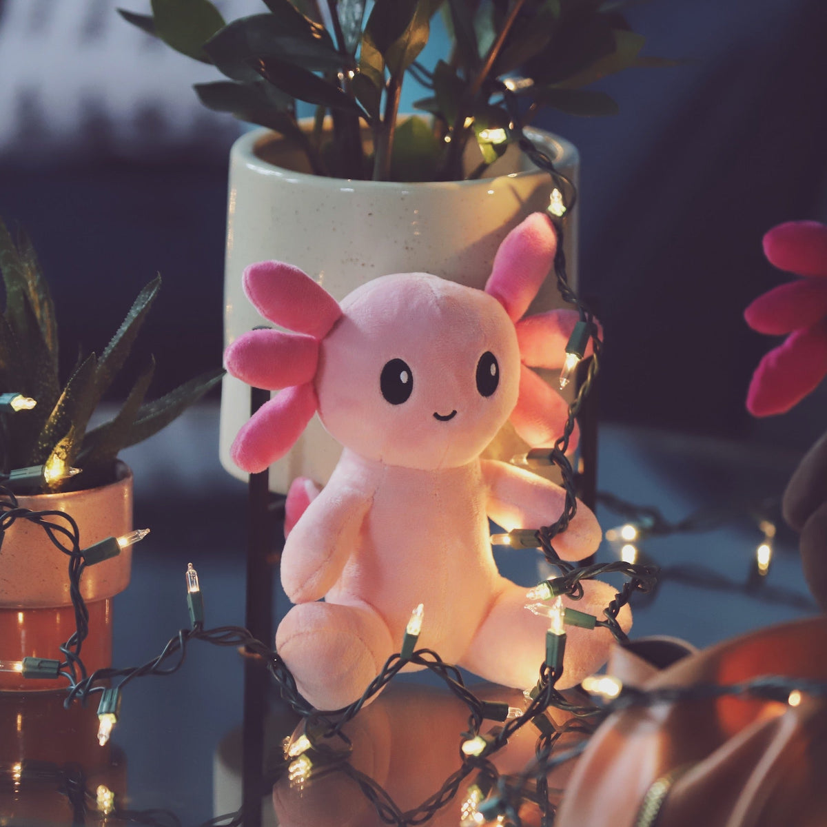Our 2019 Holiday Donations