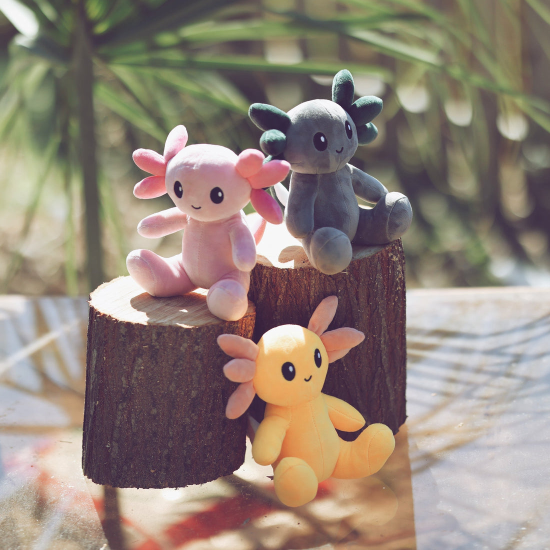 axol.us – Axol and Friends