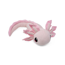 2lb Weighted Realistic Axolotl Plush