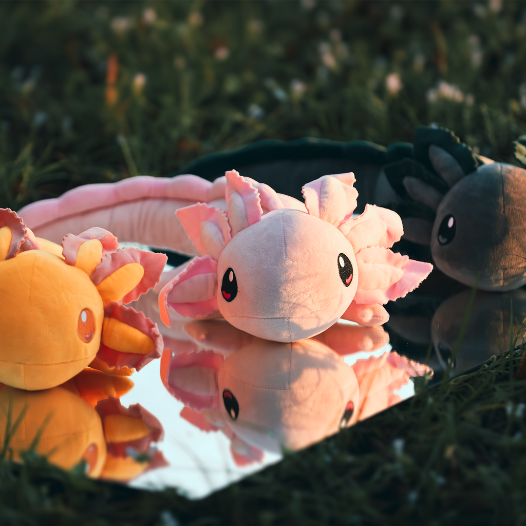 2lb Yellow Weighted Realistic Axolotl Plush– Axol and Friends