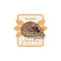 Pin with pangolin design on a white background, featuring 'Axol & Friends' branding.