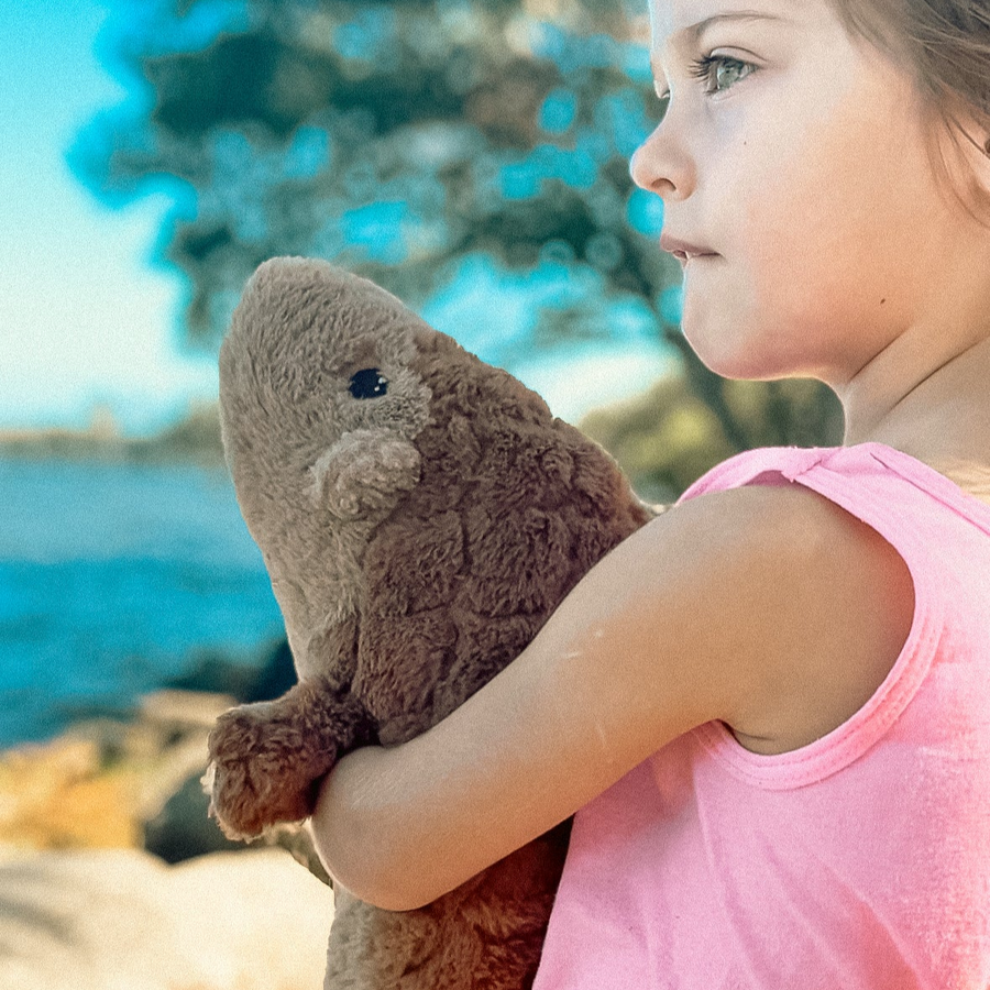 Our Story – Axol and Friends