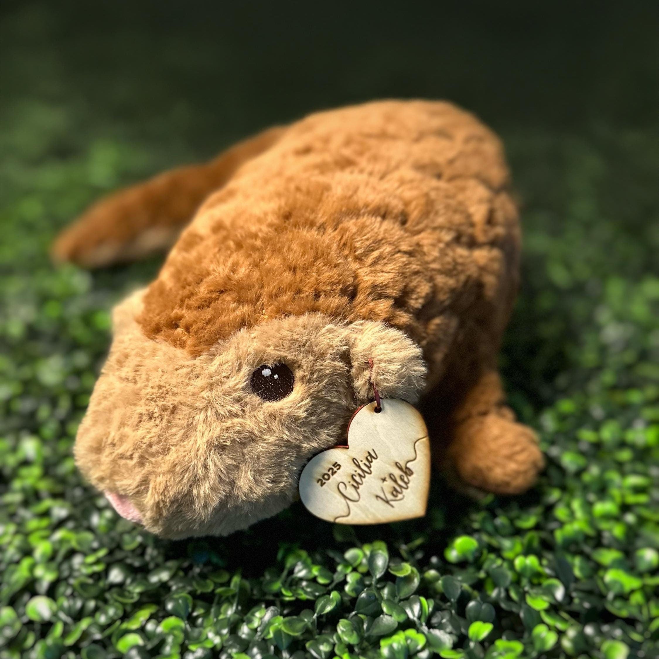 Brown – Axol and Friends