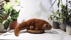 Weighted Pangolin Plush - 4lbs (1.75kg)