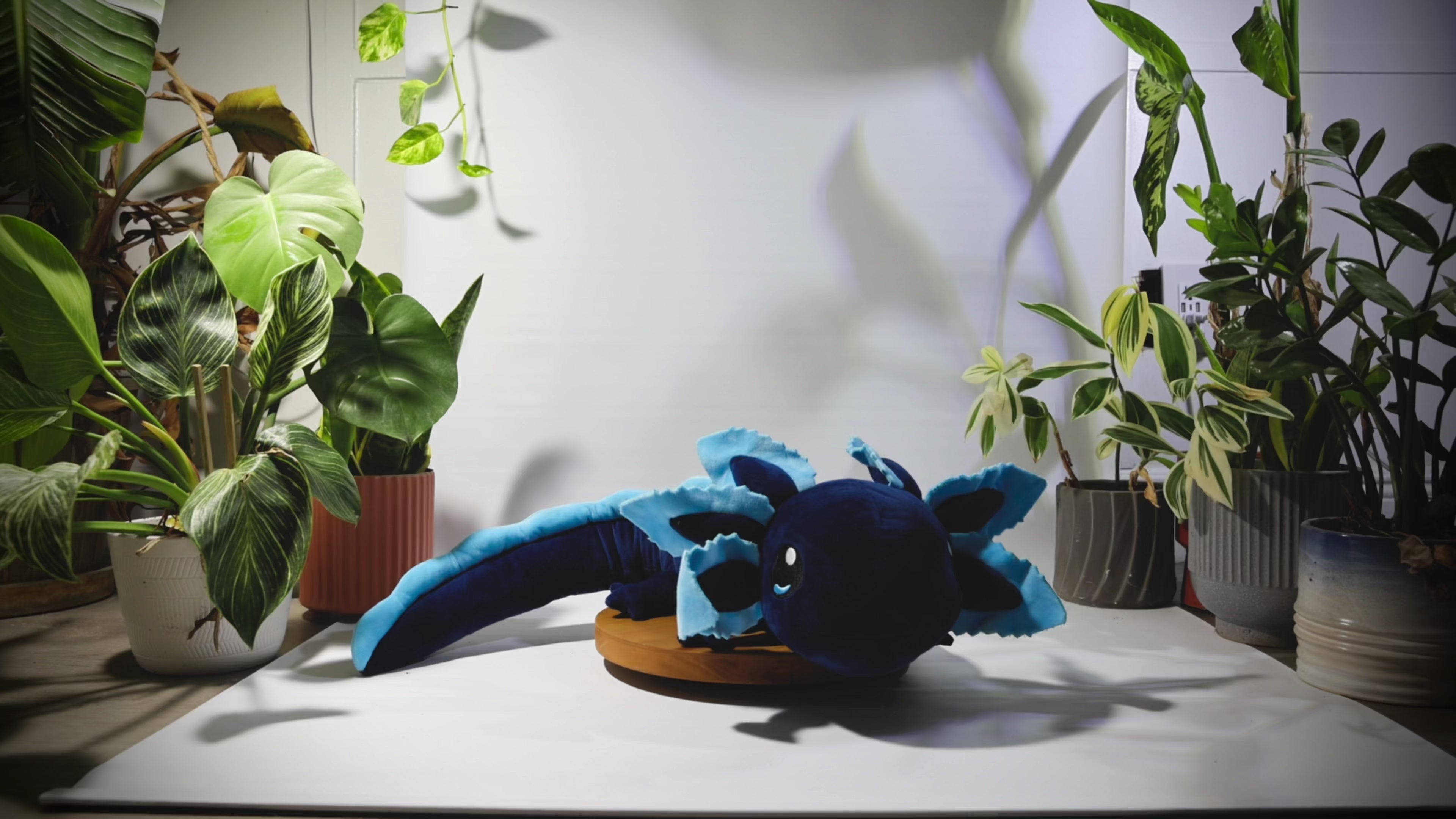 4lb Weighted Realistic Axolotl Plush - Blue (1.8kg)