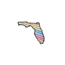 Rainbow Florida Pin
