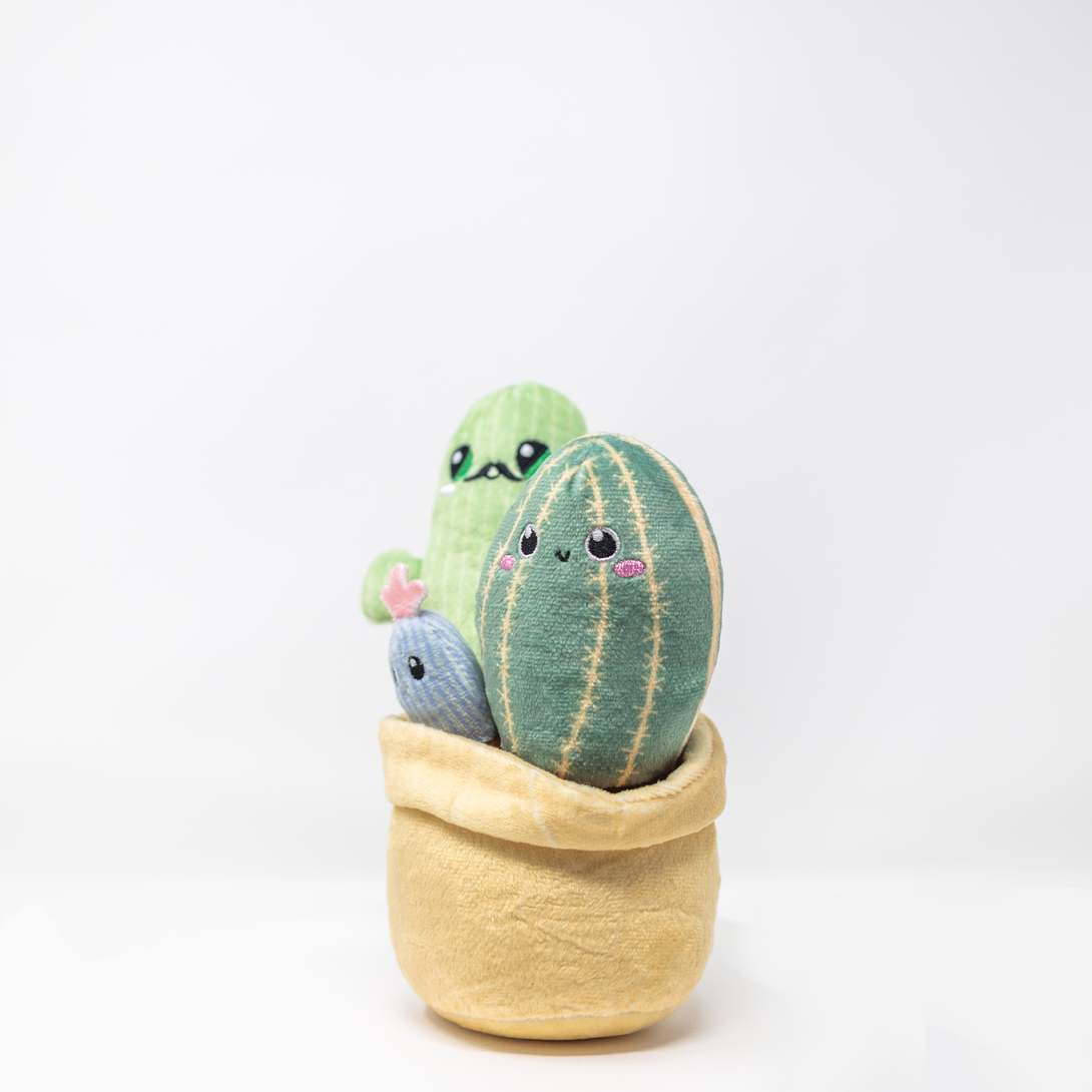 Mr. Cactus & Family Plush