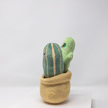 Mr. Cactus & Family Plush