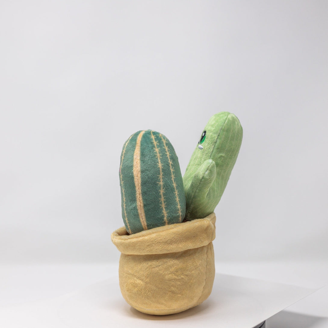 Mr. Cactus & Family Plush