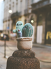Mr. Cactus & Family Plush