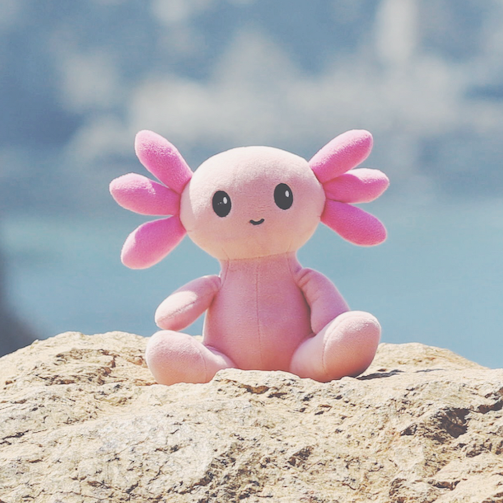 Axol The Axolotl